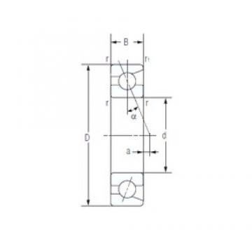 12 mm x 32 mm x 10 mm  NACHI 7201C Rodamientos de bolas de contacto angular de doble hilera