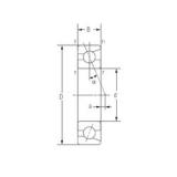 85 mm x 150 mm x 28 mm  NACHI 7217C Rodamientos de precisión DB / DF / DT