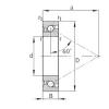 15 mm x 36 mm x 11 mm  FAG 7602015-TVP Rodamientos de bolas de contacto angular para motores y tornos #1 small image