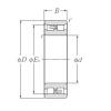 105 mm x 160 mm x 41 mm  NTN NN3021 rodamientos de bolas de contacto angular dúplex